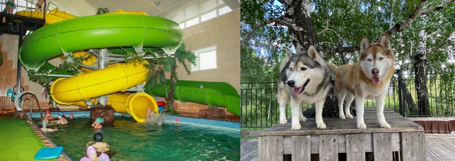 Водные горки, дружелюбные хаски