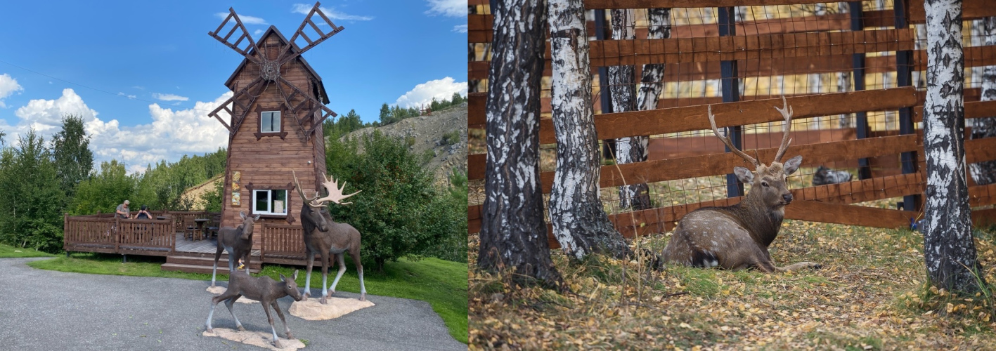 Лоси и пятнистый олень